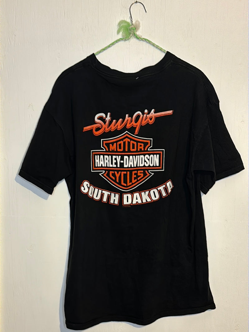 (RR3028) 2001 Sturgis Harley Graphic