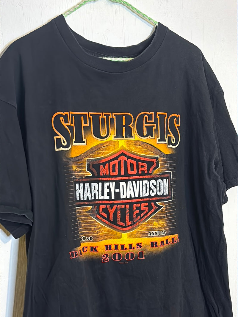 (RR3028) 2001 Sturgis Harley Graphic