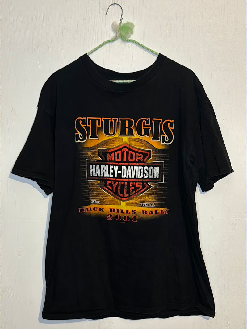 (RR3028) 2001 Sturgis Harley Graphic