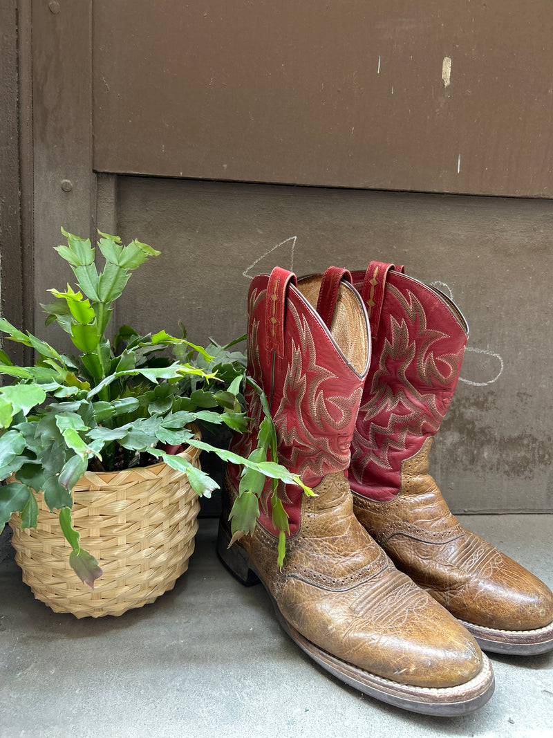 (RR3223) Ariat Red & Brown Two Tone Short Boot